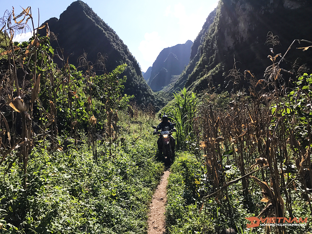 Motorcycle Tours in Vietnam - Show us how to manage and solve problems