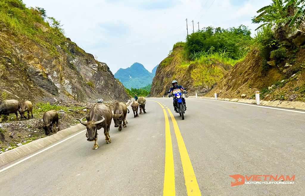 motorbike tour pu luong and mai chau 6 - Vietnam Motorbike Tours