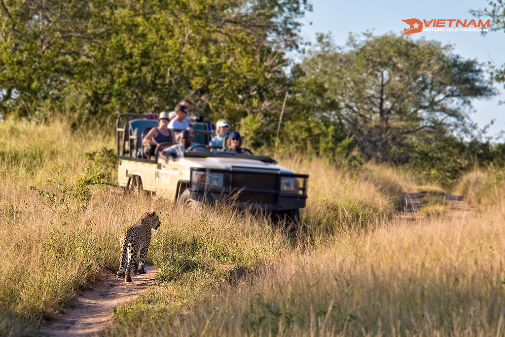 Kruger National Park - half-day Safari 