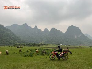 Vietnam motorbike routes