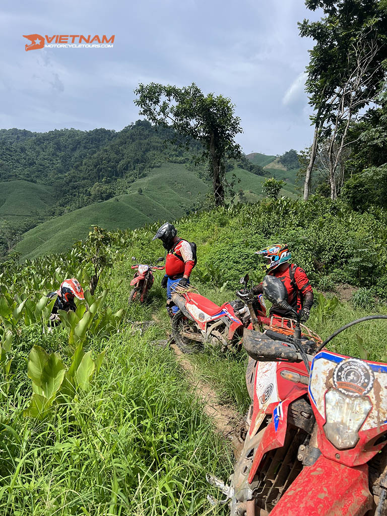 Why Should You Choose Vietnam For Your Motorbike Route?