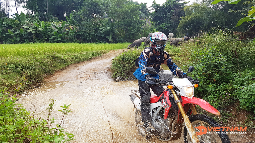 Select a suitable type of dirt bike tours Vietnam