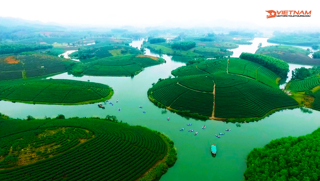 Nice view of the tea plantation in Tan Ky, Nghe An