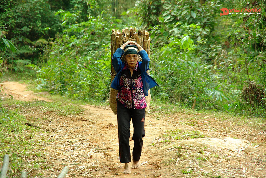 Laos lady going home from the forest